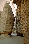 Petra - the Siq 